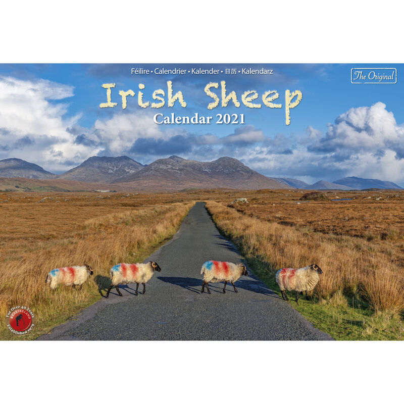 Buy A4 Irish Sheep 2021 Calendar by Liam Blake Carrolls Irish Gifts